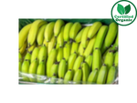 Organic Banana Cavendish 6kg