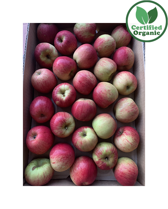Organic Apple Pinklady 12kg Premium [ 12 kg per Box ] $8.33/kg Weekly Special !!