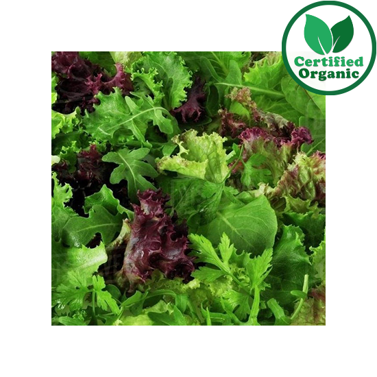 Organic BOX Baby Salad Mix 1.5KG [ 1.5 kg per Box ] $26/kg