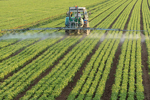 Food Safety and Environmental Concerns with Industrial Agriculture