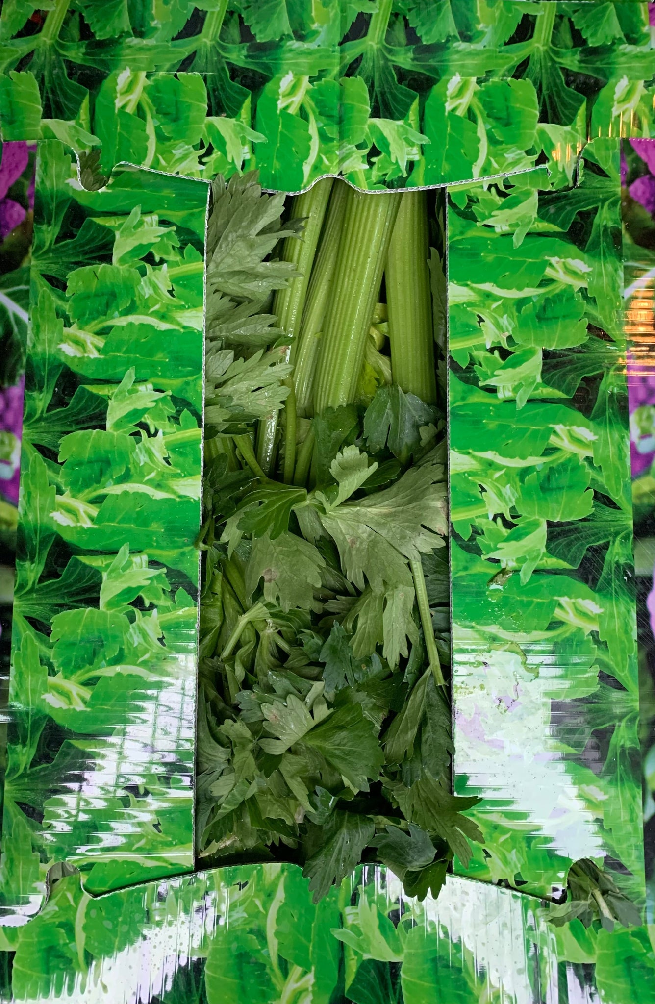 Organic Celery - the wonder vegetable!