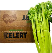 Organic_Celery_8_per_box
