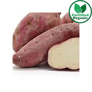 Organic Sweet Potato RED 18kg