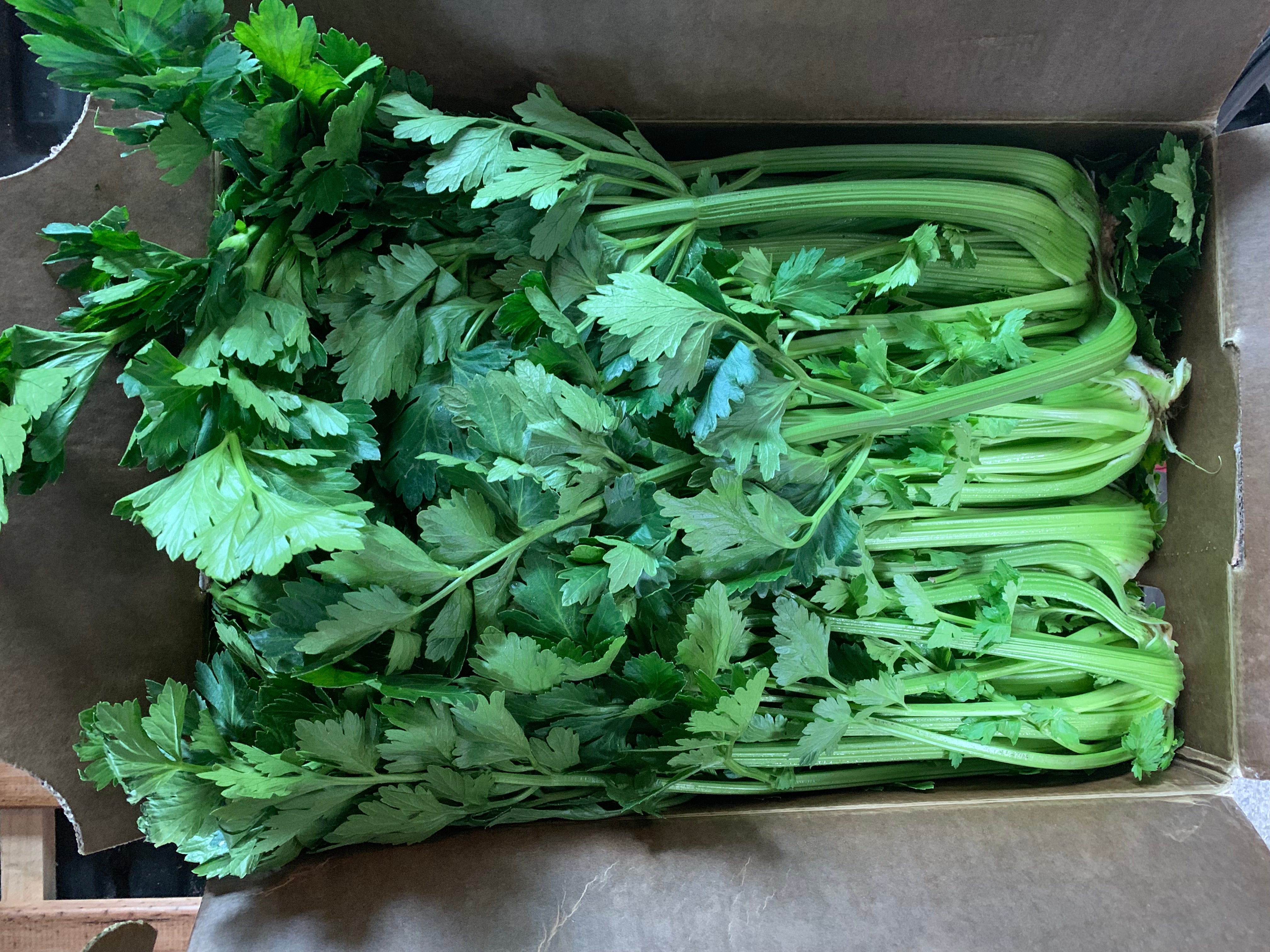 Organic Celery Premium Box 7 to 8ea [ 8 each per Box ] $7.62 each