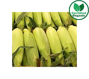 Organic CORN Sweet