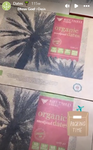 organic medjou dates