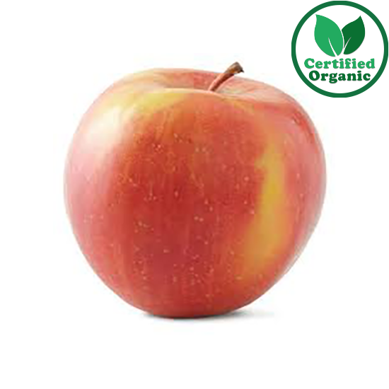 Organic Apple Fuji 15kg