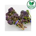 Organic Baby Broccoli Purple 12PK 