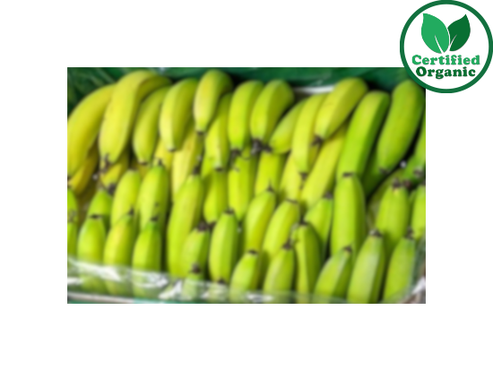 Organic BANANA Cavendish (13KG) PREMIUM [ 13 kg per Box ] $4.92/kg