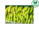 Organic BANANA Cavendish (13KG) PREMIUM [ 13 kg per Box ] $4.92/kg