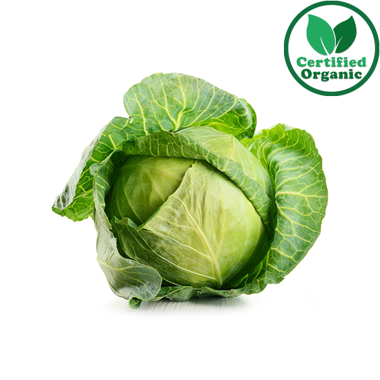 Organic Cabbage Green ea