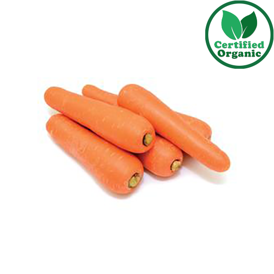Organic Carrot Medium 15KG Box