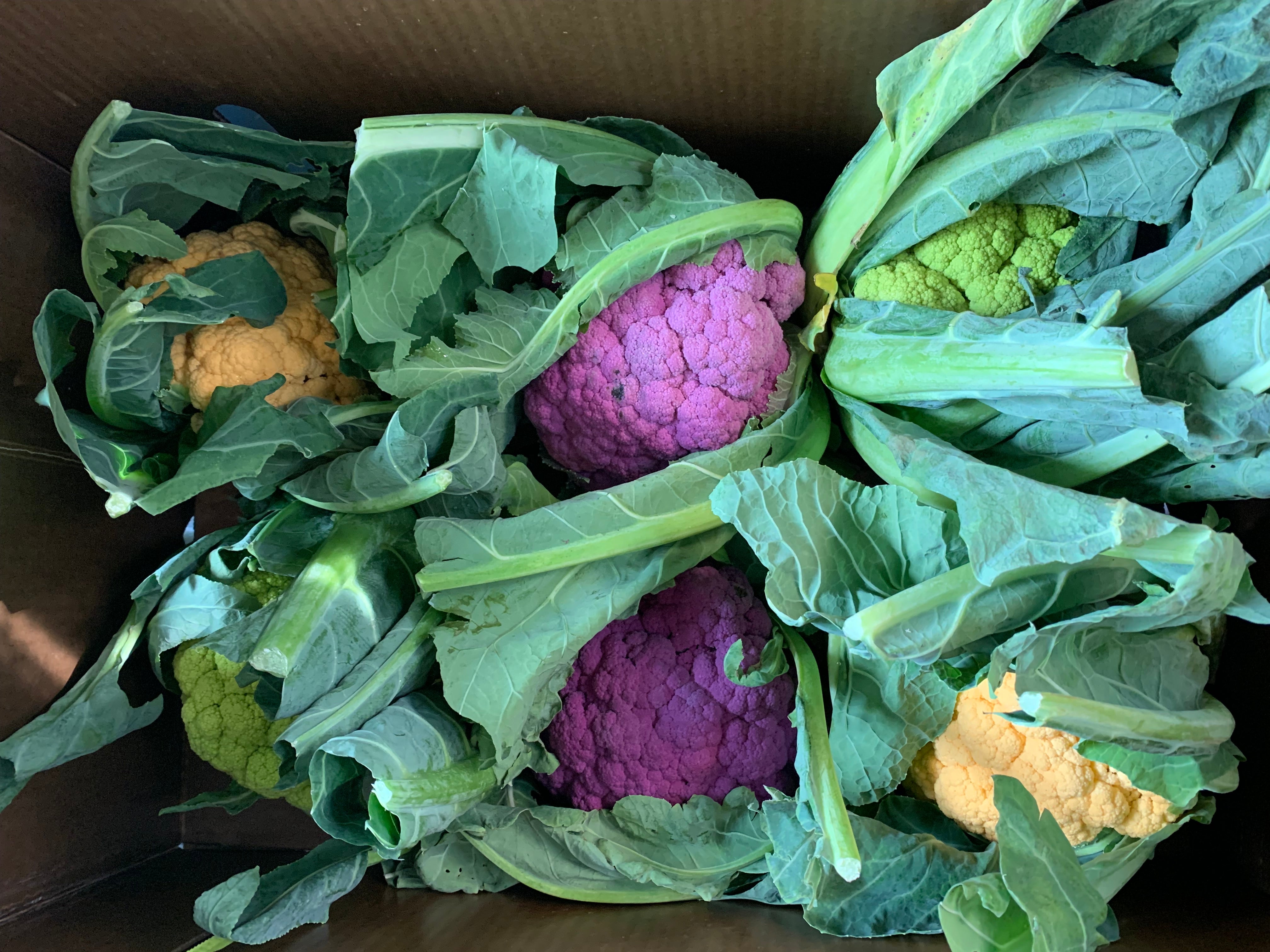 Organic Cauliflower Mix Colour  6 each per Box