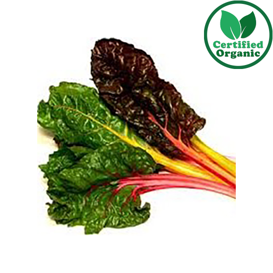 Organic Chard Rainbow bunch 