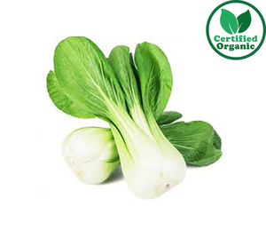 Organic Choy Pak 