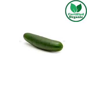 Organic Cucumber Green 10kg [ 10 kg per Box ] $6.6/kg