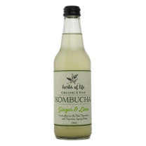 Organic Kombucha - Ginger & Turmeric