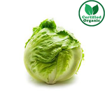 Organic Lettuce Iceberg 6 EA [ 6 each per Box ] $4.5 each