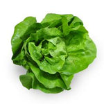 Organic Lettuce Butter 8pc [ 8 each per Box ] $3.25 each