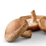 Organic Mushroom SHIITAKE