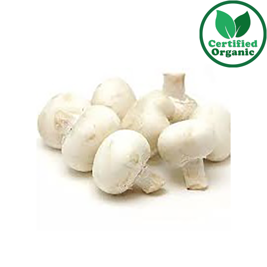 Organic MUSHROOM BUTTON (6 x 180G PP)