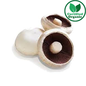 Organic MUSHROOM FLAT WHITE (3KG) [ 3 kg per Box ] $31/kg