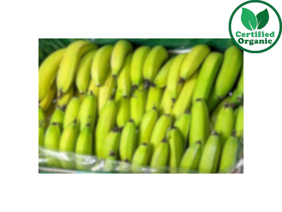 Organic Banana Cavendish 6kg