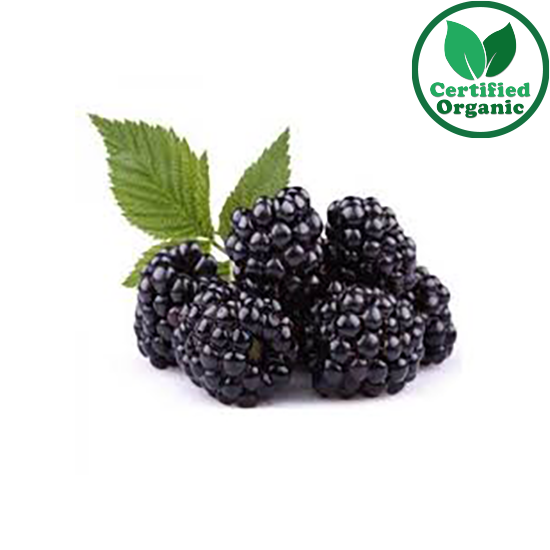 Organic Blackberry Punnet