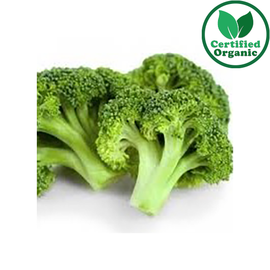 Organic Broccoli Box 8kg