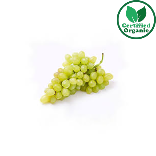 Organic Grapes Mendiee seedless 10 kg per Box 