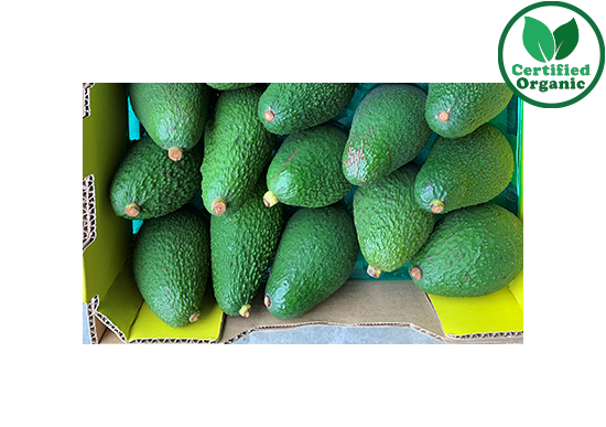 Organic Hass avocado half tray