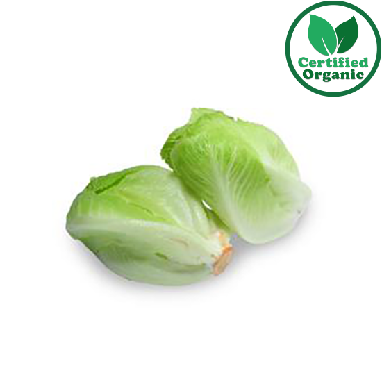 Organic Lettuce Mini Cos 8 to 10  each per Box 