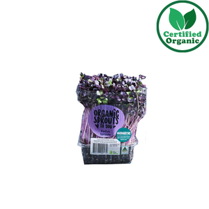 Organic Radish Sprout live 