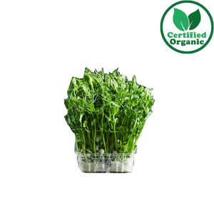 Organic Snow pea Sprouts Punnet