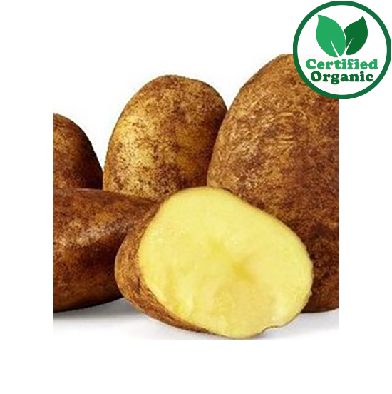 Organic Potato Dutch cream 20kg