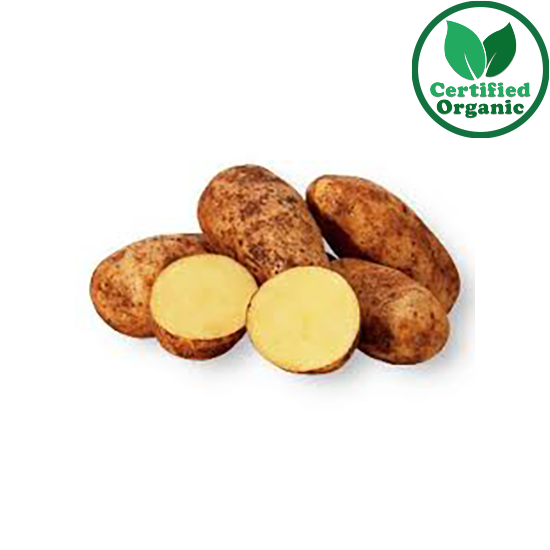 Organic Potato Dutch Cream by KG