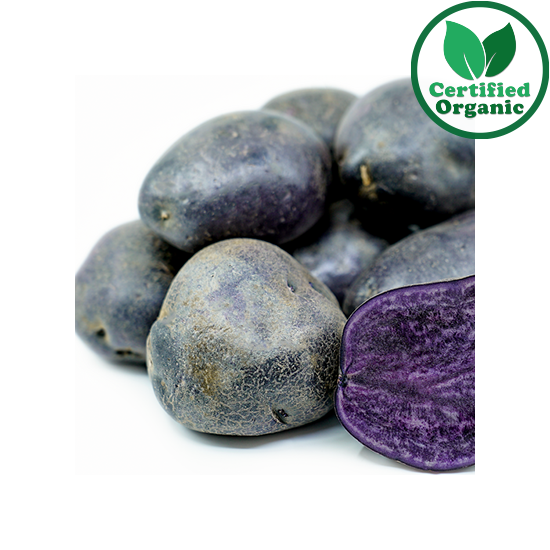Organic Potato Midnight Pearl