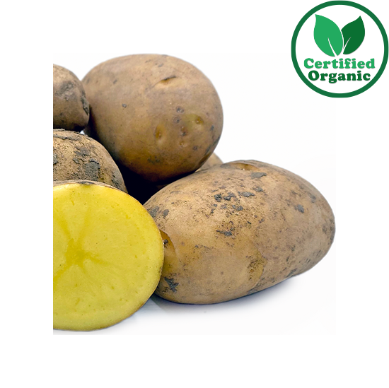 Organic Potato Nicola 20kg 