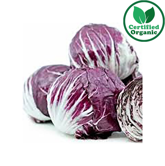 Organic Lettuce Radicchio 12 per box