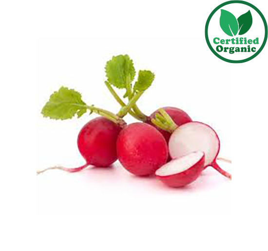 Organic Radish bn