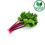 Organic Rhubarb bn