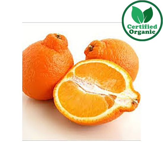 Organic Tangelo 9kg bx