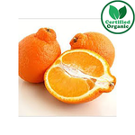 Organic Tangelo 9kg bx