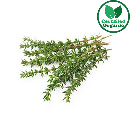 Organic Herb Thyme
