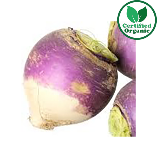 Organic Turnip 5kg