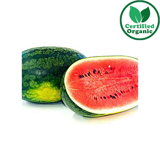 Organic Watermelon Torpedo 6kg