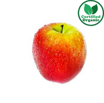 Organic Apple Jazz 12kg