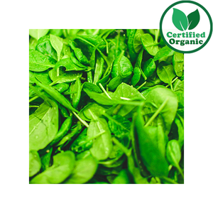Organic PUNNET Baby Spinach 120g