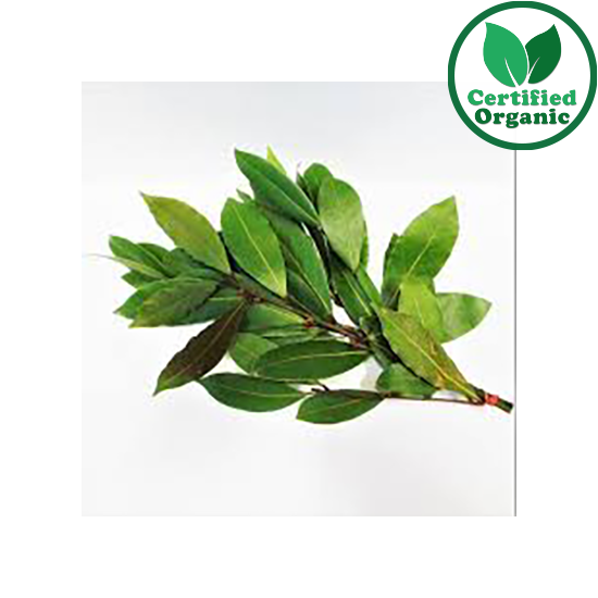 Organic Herb Bay Leaves 