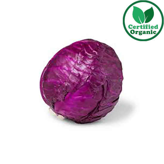 Organic Cabbage Red ea